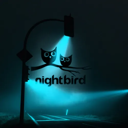 night bird Podcast