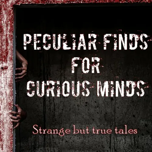 Peculiar Finds for Curious Minds