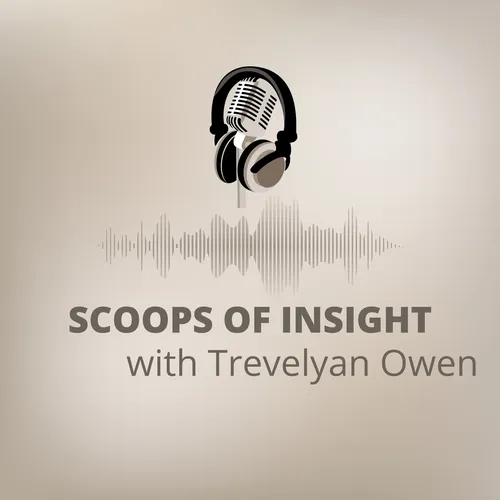 Scoops of InSight