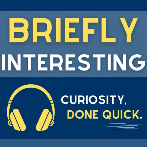 Briefly Interesting - Curiosity, Done Quick