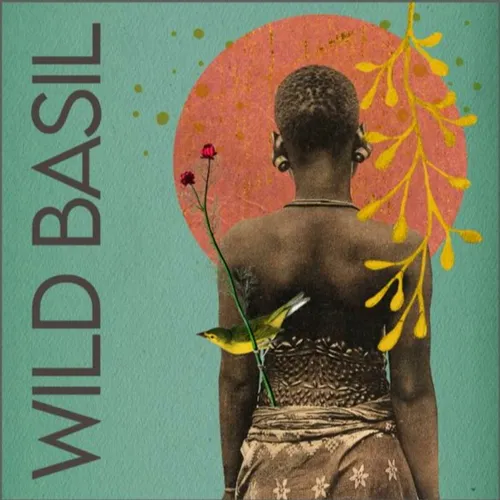 WILD BASIL