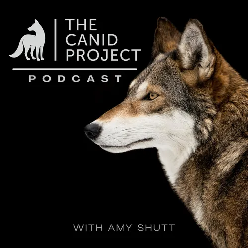 The Canid Project