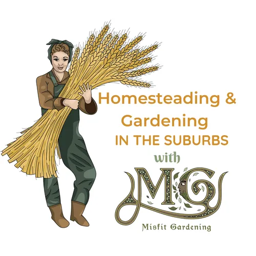 Homesteading & Gardening In The Suburbs With Misfit Gardening