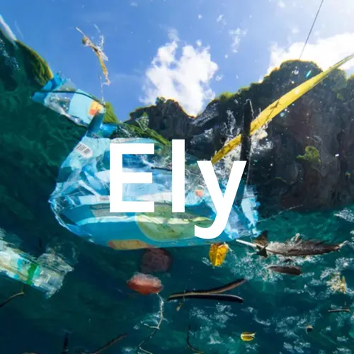 Don't throw trash in the ocean