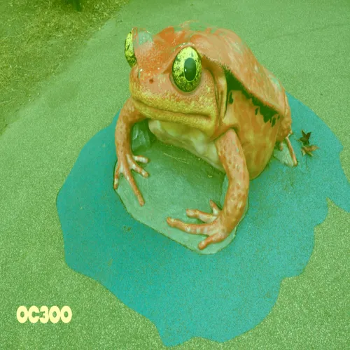 Outrageous Creativity 300