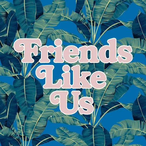 Friends Like Us