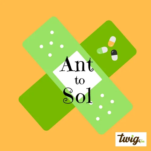 Ant to Sol