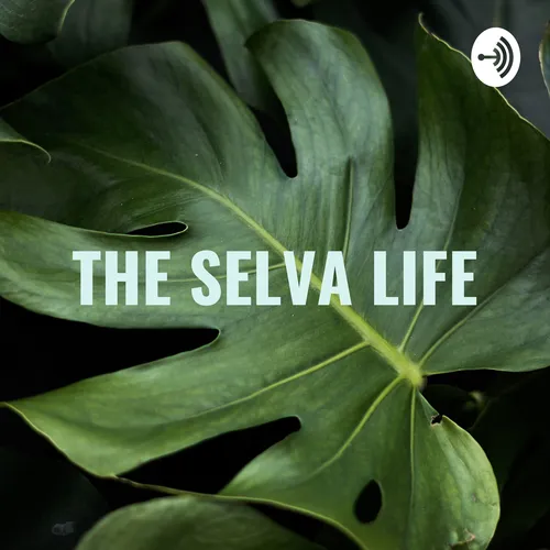 THE SELVA LIFE - Aprender Ingles Escuchando A Nativos