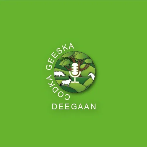 Radio Deegaan Codka Geeska