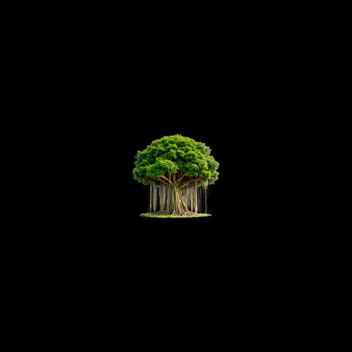 Commit to growth
