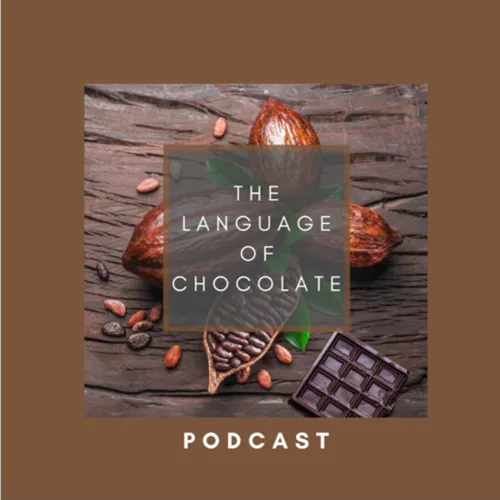 The language of Chocolate 🍫