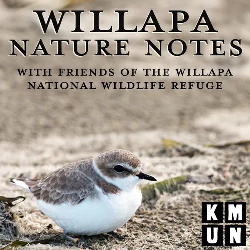 Willapa Nature Notes