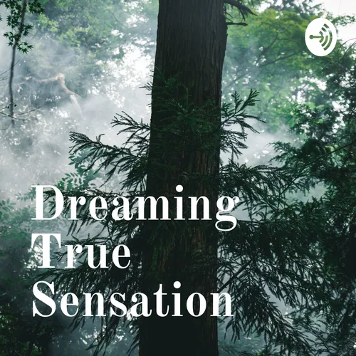 Dreaming True Sensation