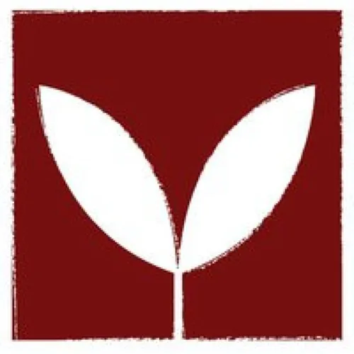 The Vine