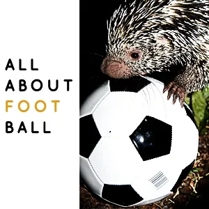 All About Football Podcast