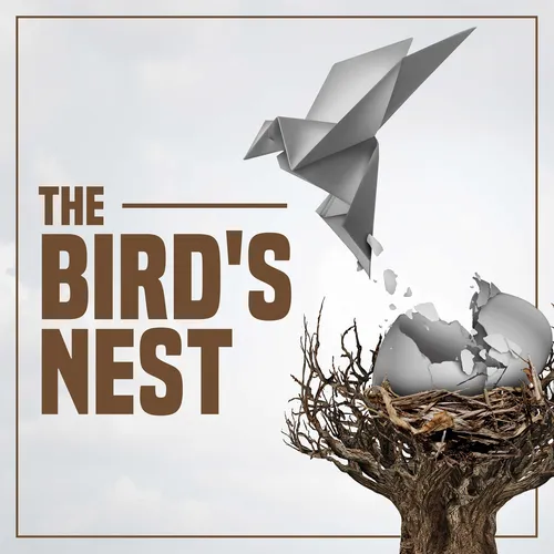 The Bird's Nest