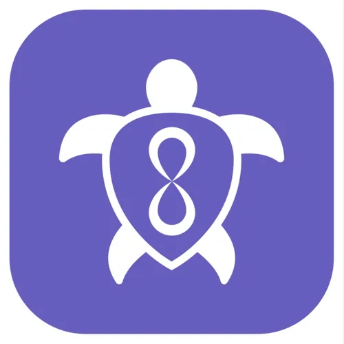 Turtle Method™ 14-Day Masterclass