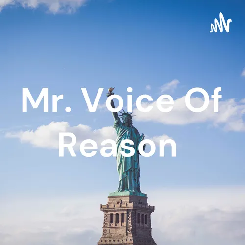 Mr. Voice Of Reason