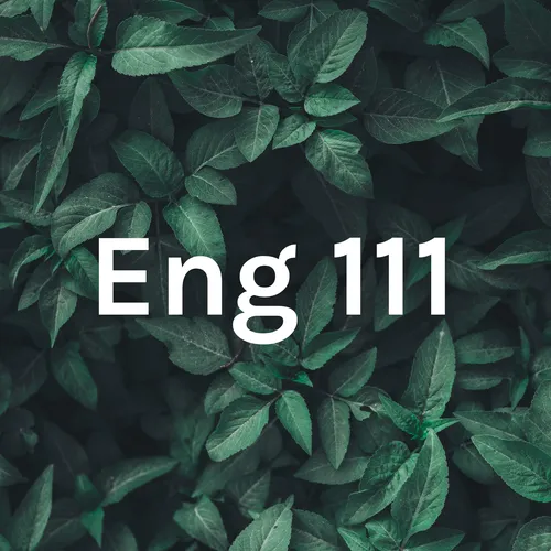 Eng 111