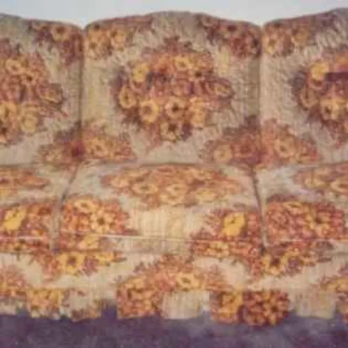 Stories, Half-Truths and Outright Lies from the World's Ugliest Couch