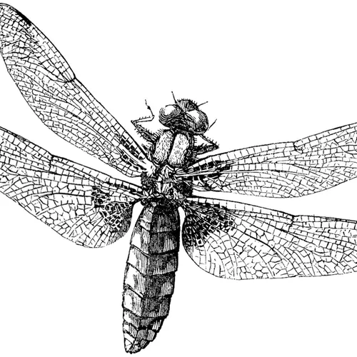 Species Elite
