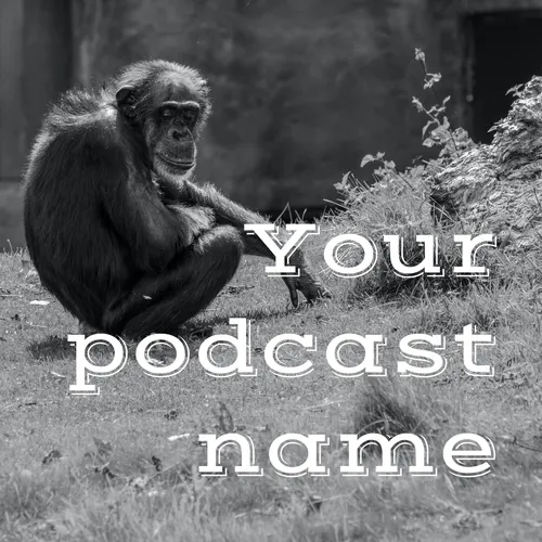 Your podcast name