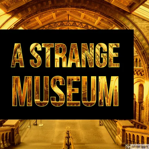 A Strange Museum