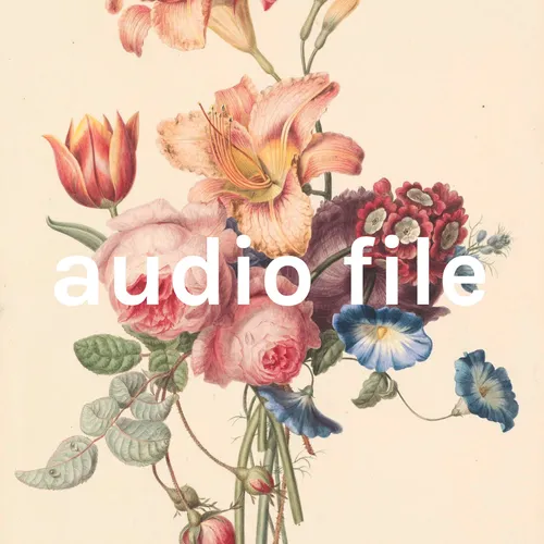 audio file