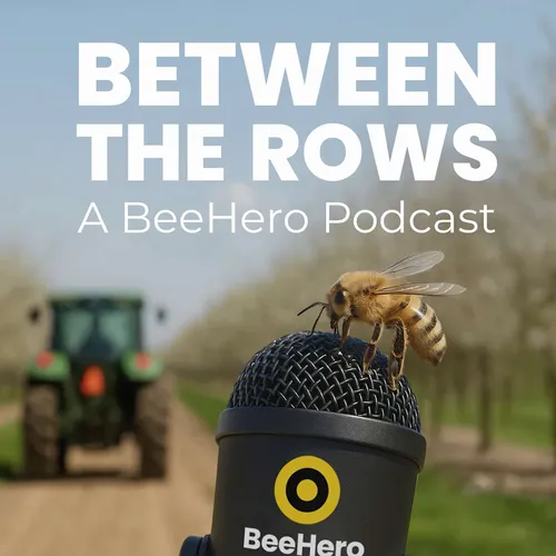 Between the Rows