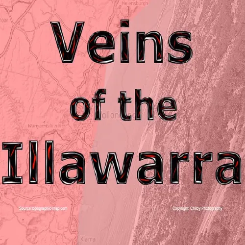 Veins of the Illawarra