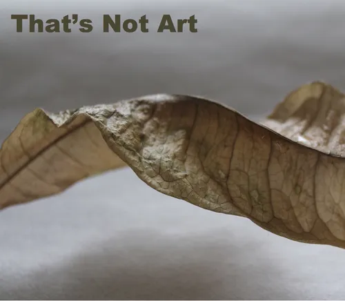 That's Not Art - Broken Area Podcast