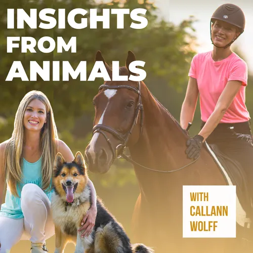 Insights from Animals