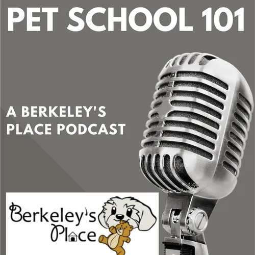 Pet School 101: A Berkeley's Place Podcast