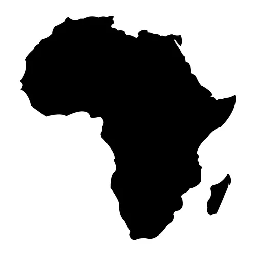 THE 'AWAKENED' AFRICAN