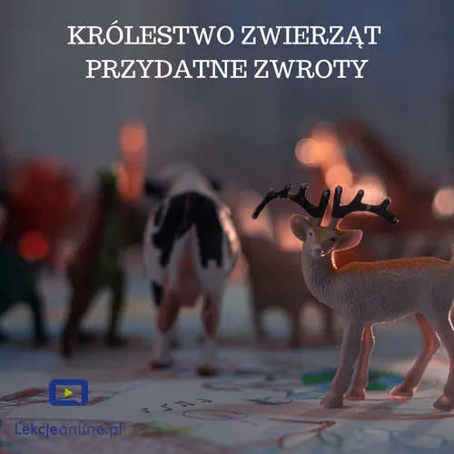 Animal Kingdom Useful Verbs